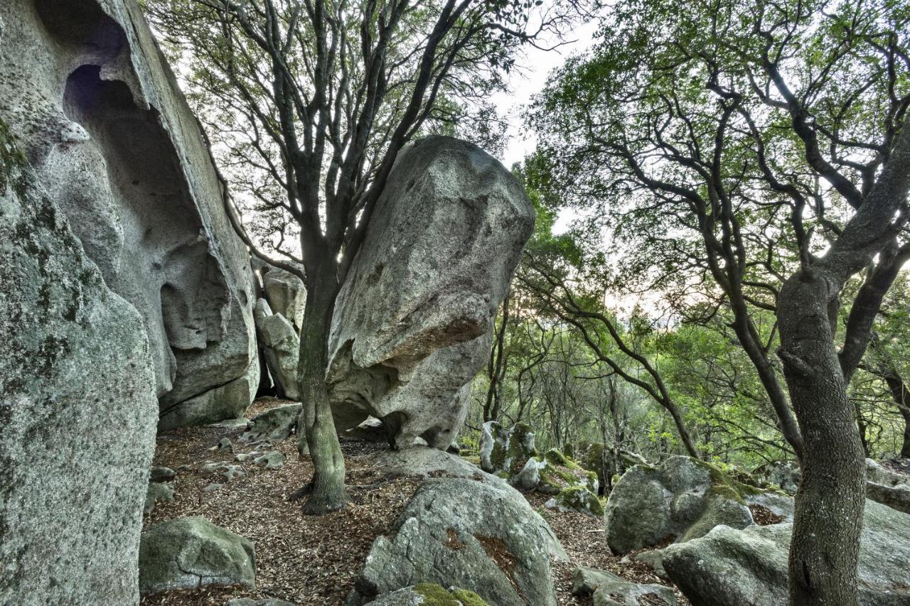 Gallicantu Stazzo Retreat 루오고산토 외부 사진