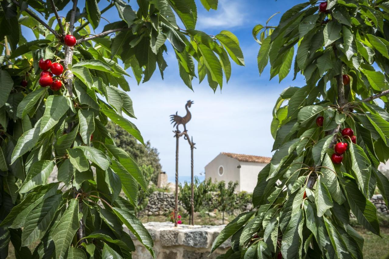 Gallicantu Stazzo Retreat 루오고산토 외부 사진